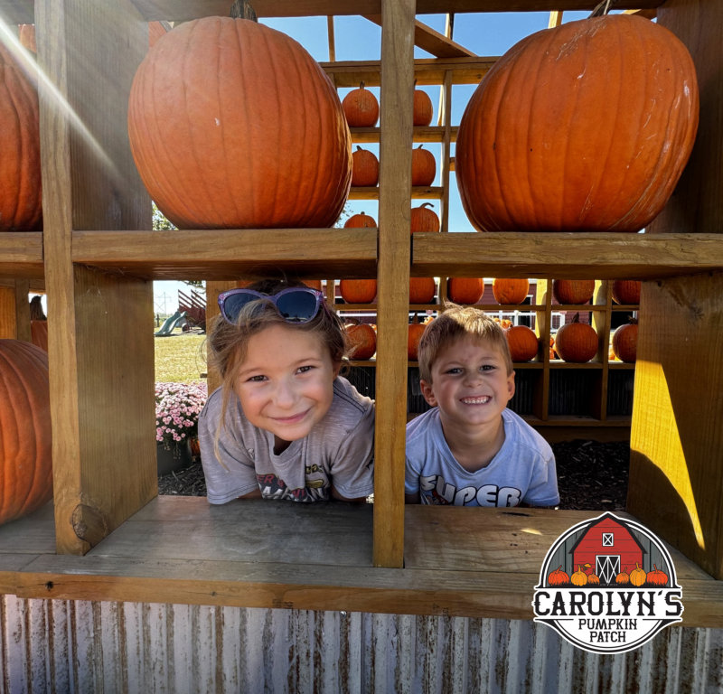 Carolyn's Pumpkin Patch - Pumpkin Patch Photos