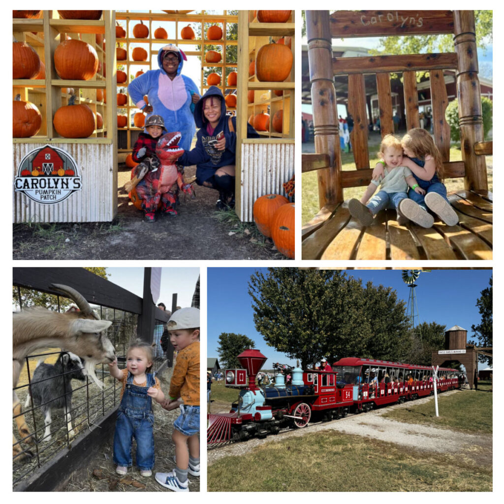 Carolyn's Pumpkin Patch - Raasch Family