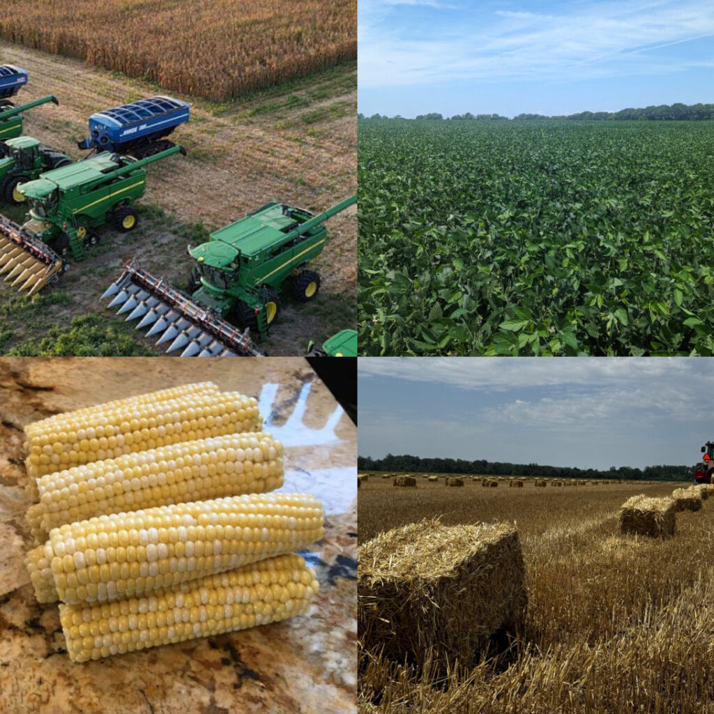 Our Crops - Raasch Farms