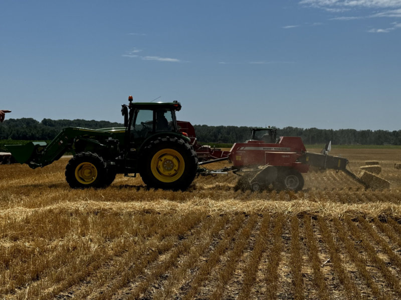 50 – 50 Share Crop Both landlord and tenant split inputs and split crop 50-50 after harvest.